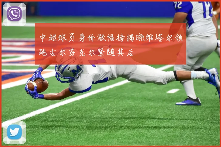 中超球员身价涨幅榜揭晓维塔尔领跑古尔芬克尔紧随其后
