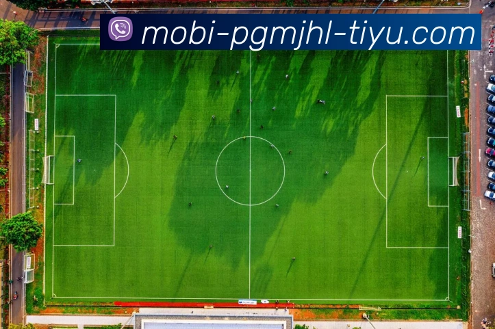 麻将胡了APP 封面图